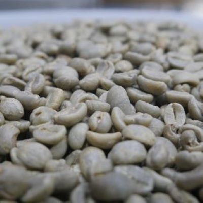 green coffee extract
